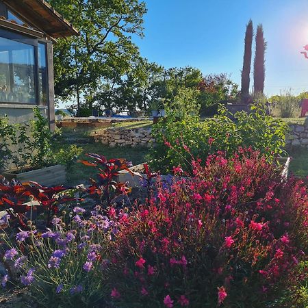 La Fontaine Des Noyers Βίλα Saint-Saturnin-les-Apt Εξωτερικό φωτογραφία