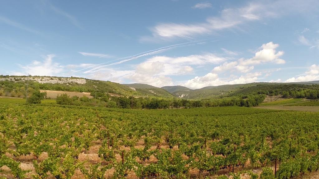 La Fontaine Des Noyers Βίλα Saint-Saturnin-les-Apt Εξωτερικό φωτογραφία